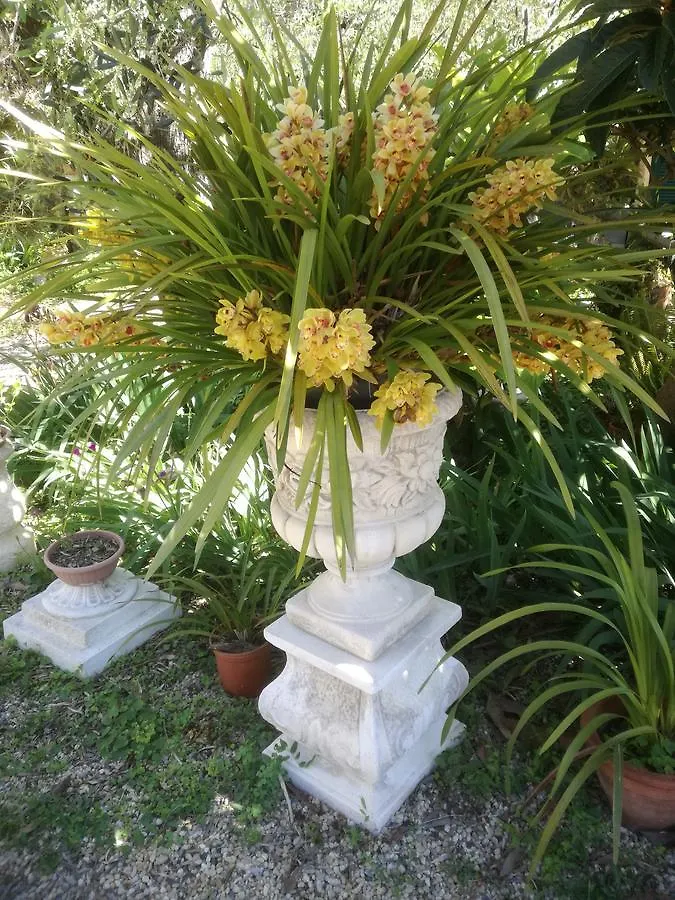 Zajazd Locanda Dei Boi Ventimiglia